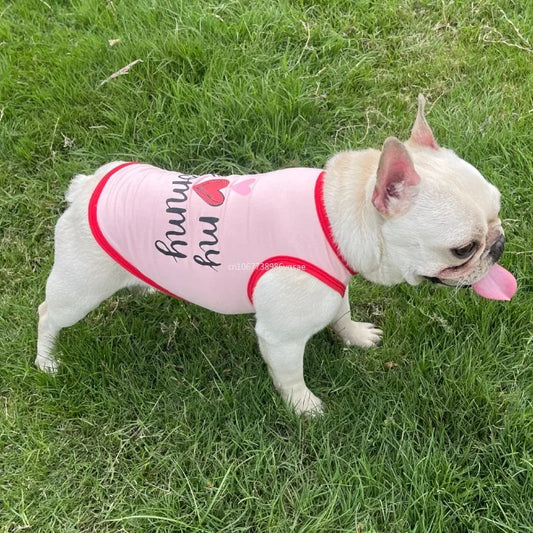 S396401cdd04a4c9cacddf4cf4679eabcg