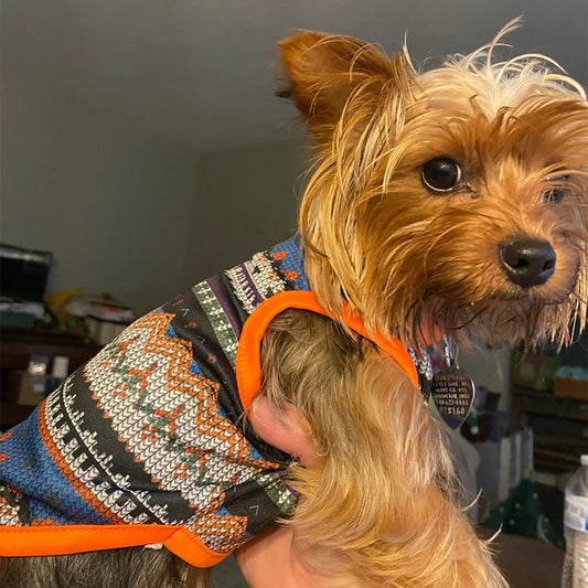 S707b22a1c7604a70aeb4d72471bd76edG