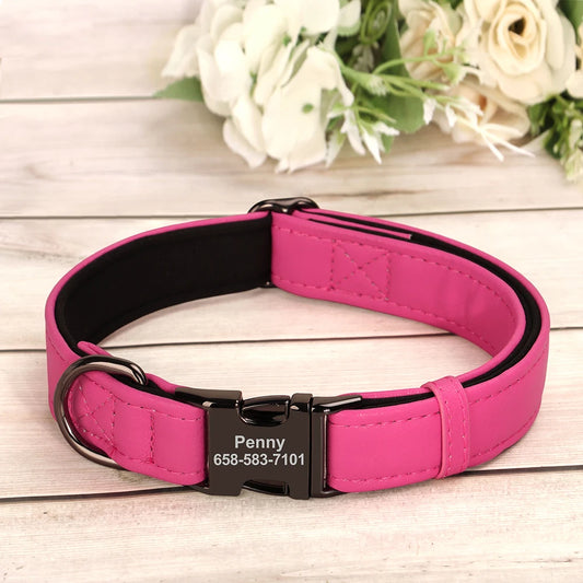 S8892941168f34cb3b932bfbbc8088e8fP