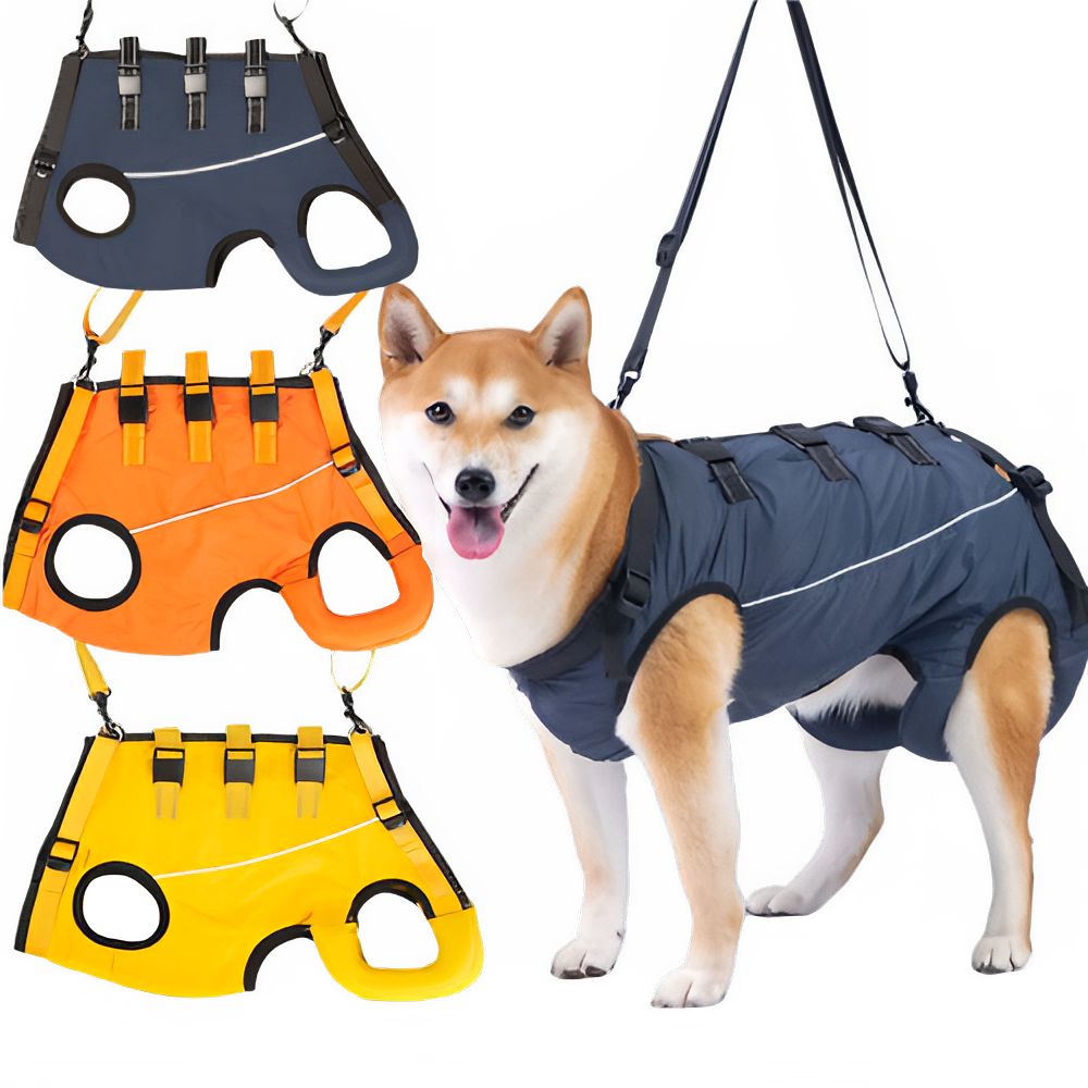 12c5701c-6c2d-45ae-ad58-7ca0bcf84162