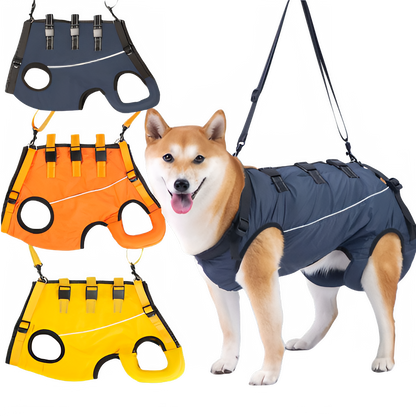 12c5701c-6c2d-45ae-ad58-7ca0bcf84162