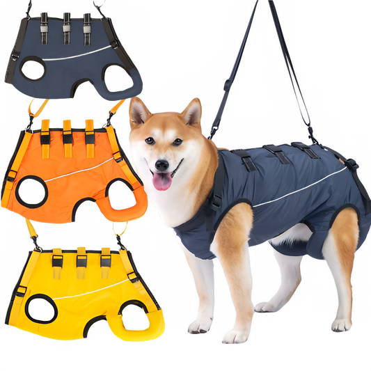 12c5701c-6c2d-45ae-ad58-7ca0bcf84162