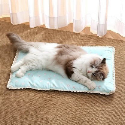 17526829296877d1b154e485284599