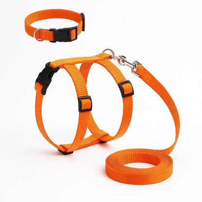 1754942799689a4d4f8497a1976747