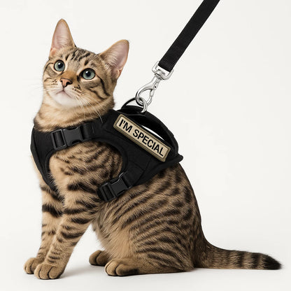 1754944892689a557c7b5668074768