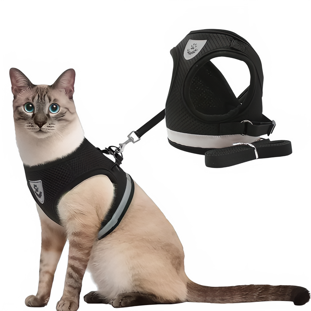 41320323-7a74-447e-9c67-6d87385dda59