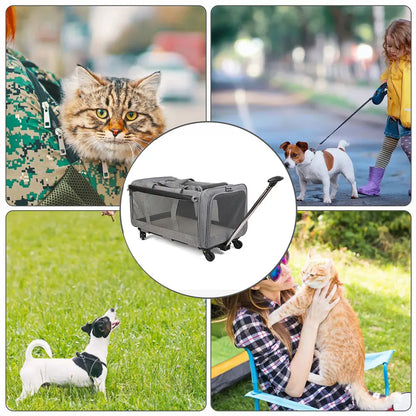 A5bc8051e2452439dad874d8f82380c35Z