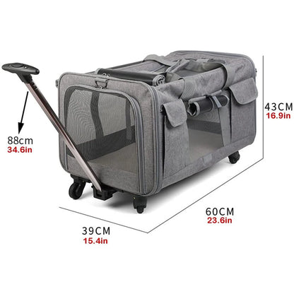 Ab553fee3f31245bc8f278f3f4cddfc2eJ