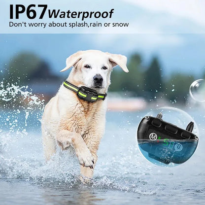 Hec66f82855104f85afa16eb81cd63126y