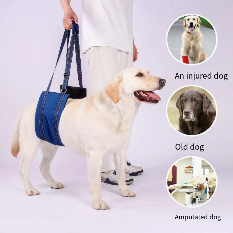 S0da16e6aae0949e5ad00c89c8287fcc8T