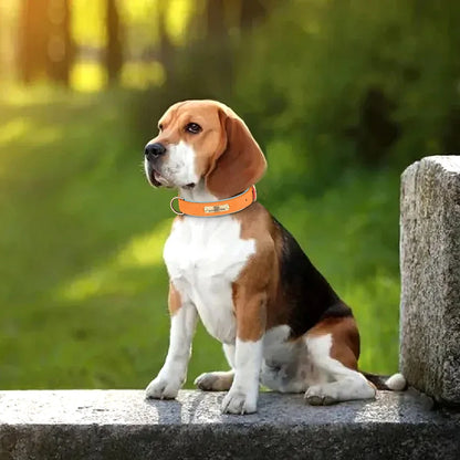 S0ea56e5cabf74df2a4061549178fc645a