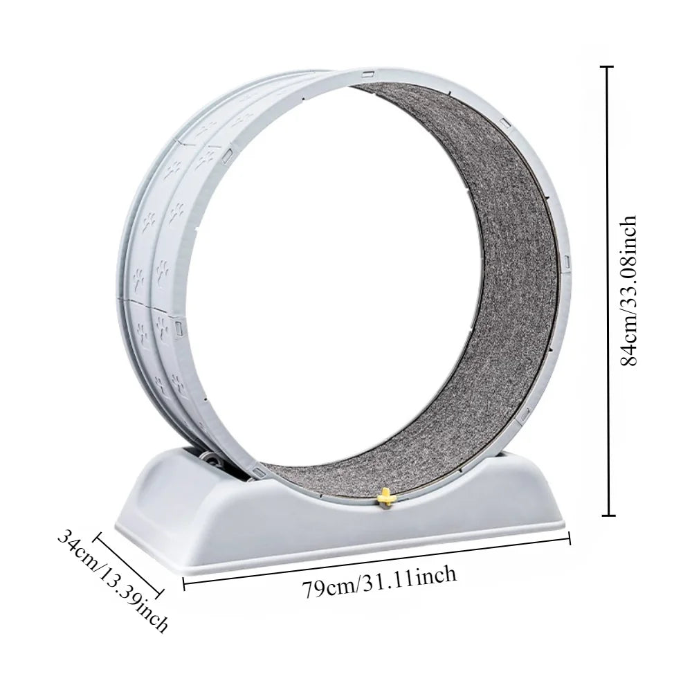 S1accfa4b1315421d83dd48c6a2c4b3abi