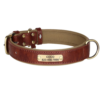 S1c39e6178aa447058d89304d54d4e510c