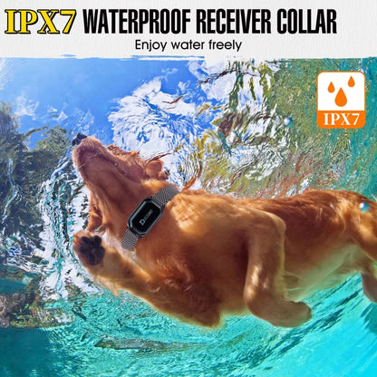 S254acb33e3ea4cb39bebc35d6a82c0aa7