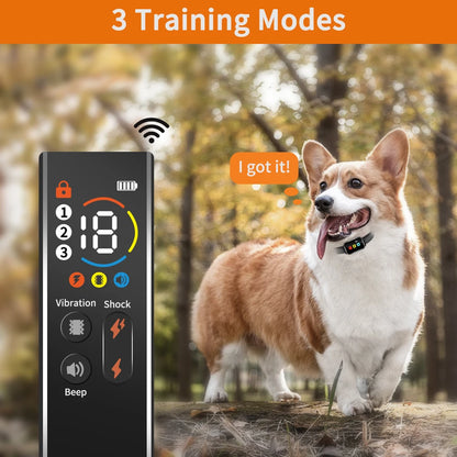 S263ae0765b7f42ca986b53baedb83c4eO