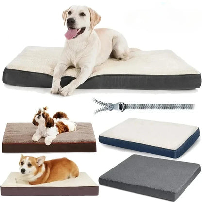 S2f02faf687f94ccf8705f4208ee5eda1E