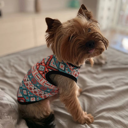 S301ed9868a914a309c16fc76c3ee8d54M