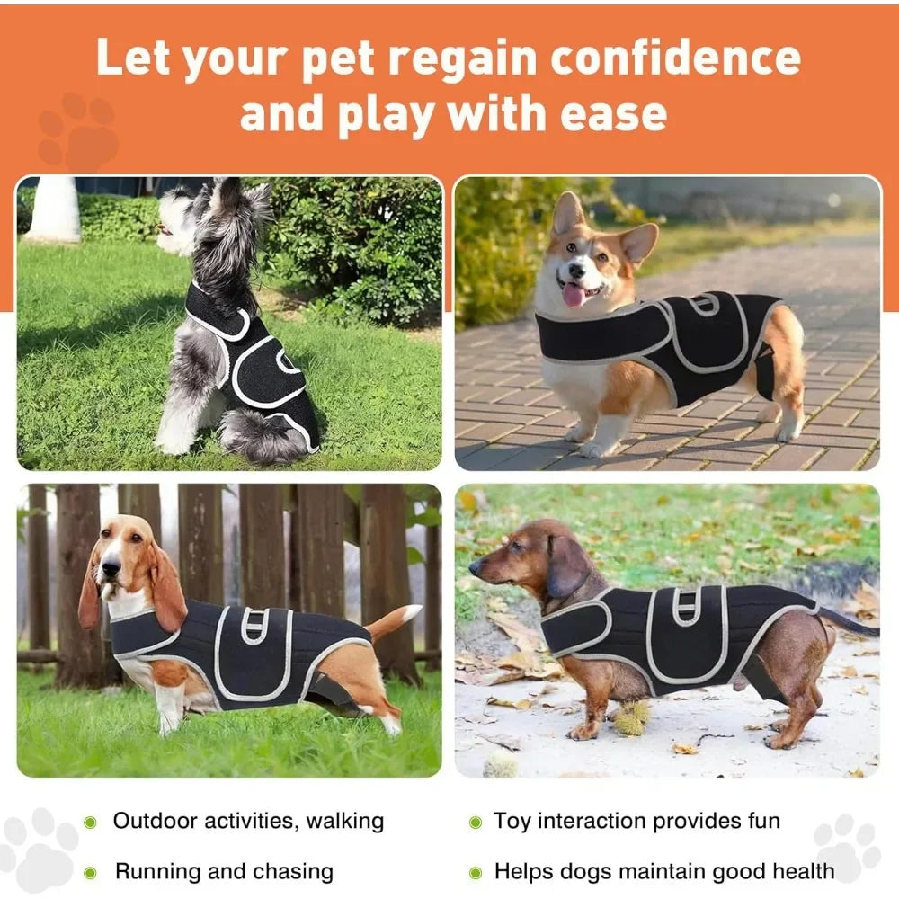 S32b85054bdad41f48dcd8aee6d2ff245B