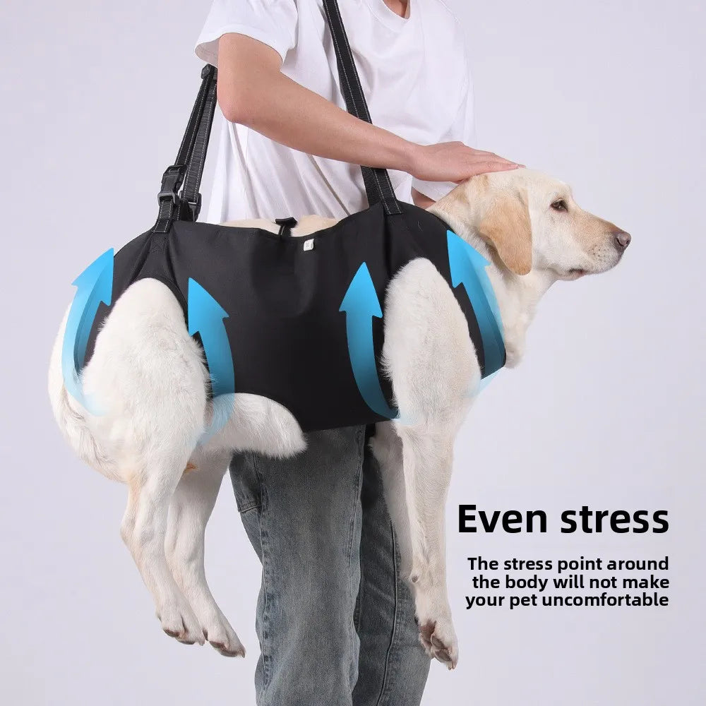 S413ae8377d8b4b63a853c2382e9bdfa7y