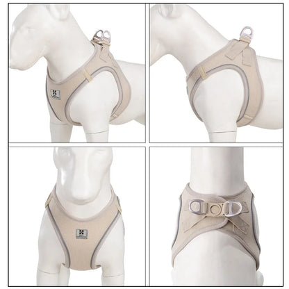 S43c382cda05149949c4f815a0be143b9L