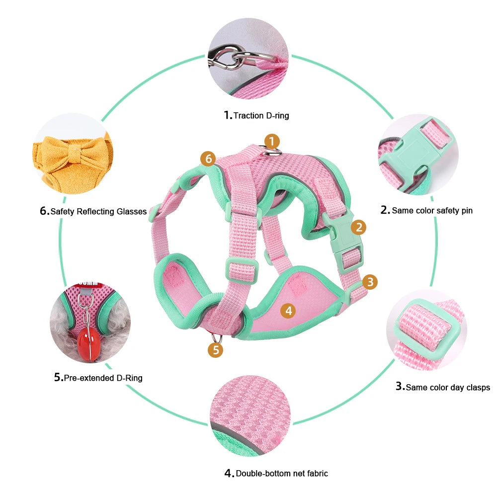 S5336e2c27b914417ae82efebfc553e35u