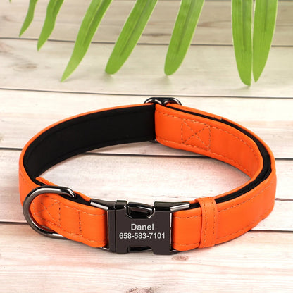 S5c54e7eebb814c5295f66e95a63f13dbl