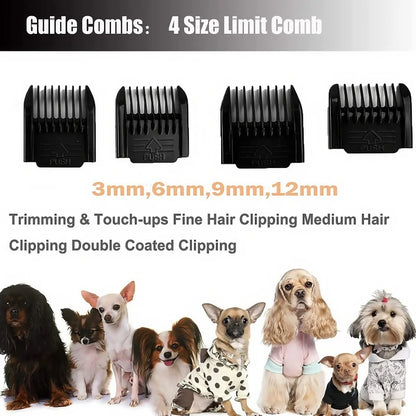 S5f60f152391e49a7aec242c43d10e2b4l