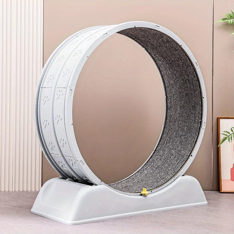 S61d887eb1adc428fbe2941f1d526bb8dR