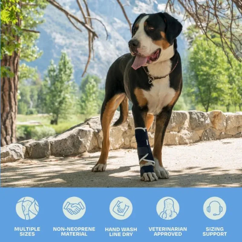 S6e74834fc0f74ad49bbca57d1e8942ffg