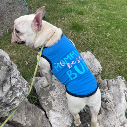 S6f94ea54f5f4447da5fac6a00013289e9