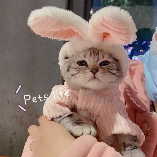 S70707c69f6ac40af87ac7606a059a5b8C