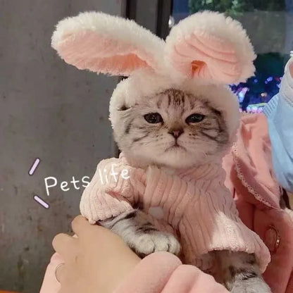 S70707c69f6ac40af87ac7606a059a5b8C