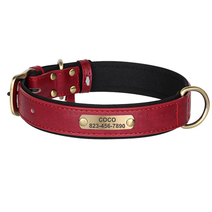 S7146332586c34d70bc229f0107592d70s