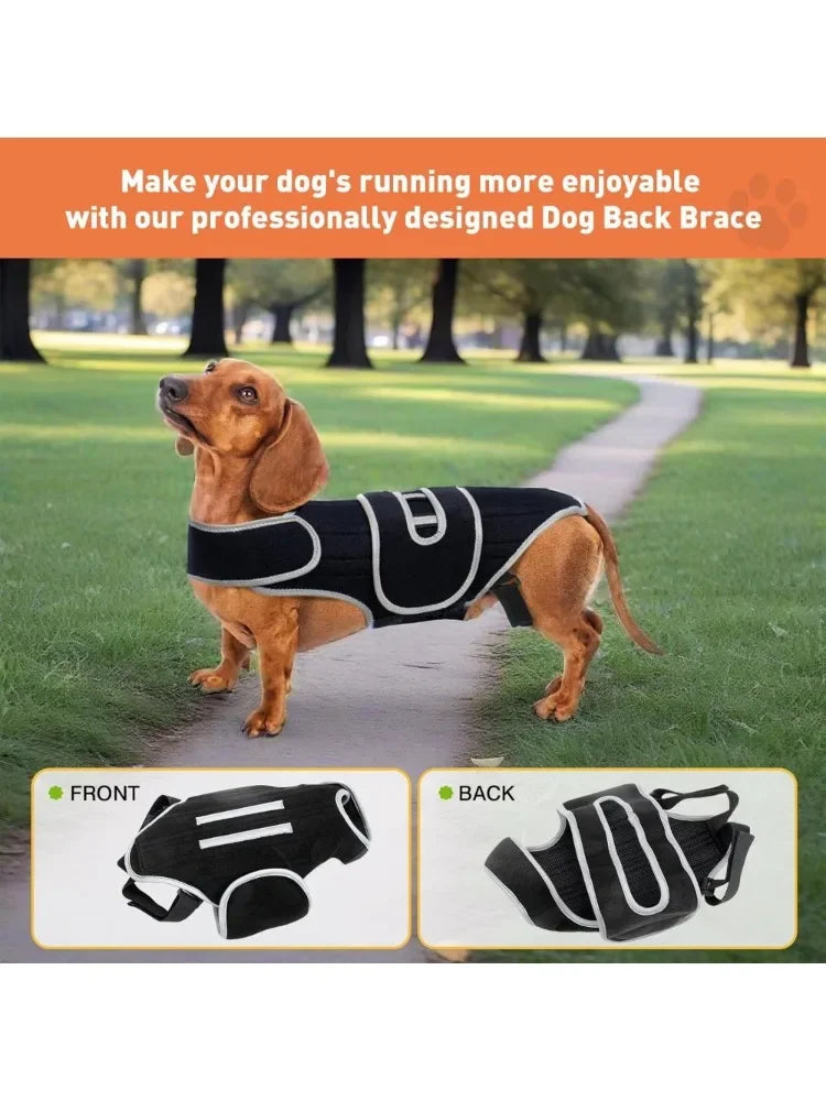 S72eda1dd6e9e4843bd8da2e2225b022ct