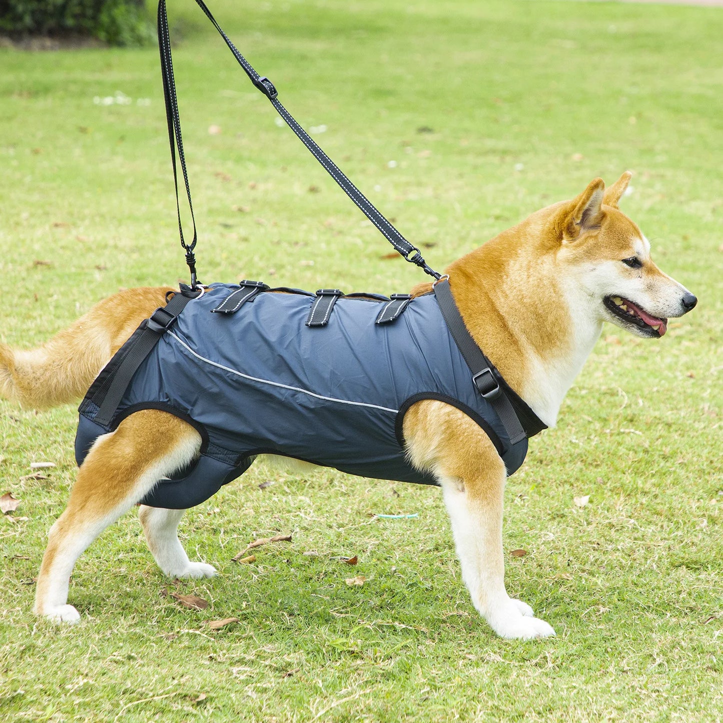 S75985b6a6f2c49d8822bbc29bf058b427