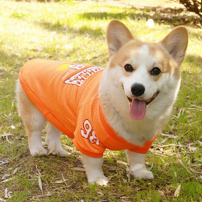 S77a61754b2644bd9a1518bcbc499c2f8t