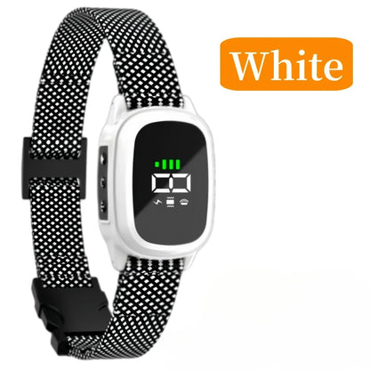 S864fe4af389244efa1703e7ab543de63z