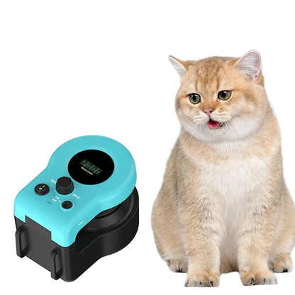 S88db63e0256b4dc8bbaed4125c706084I