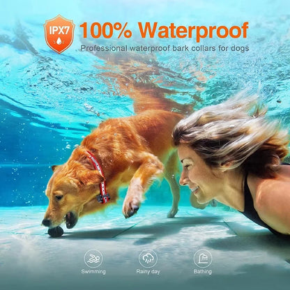 S8c5873604b05491dbeaf22668a7d027a6