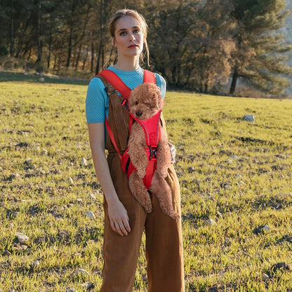 S917d9503f123422bbb369a0fc7b60f68M