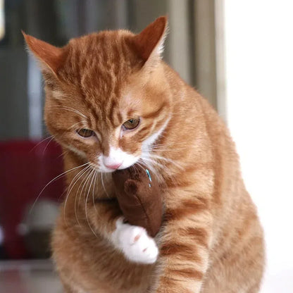 S94b9061b889d4467885e89676574f9e4q