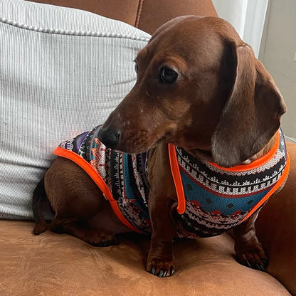 S97df9e13e599441e8656fb79fb53c285w