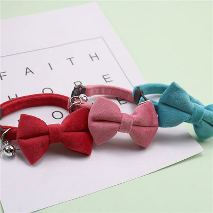 S9f925372e76744a0ab2aee5773a4383fS