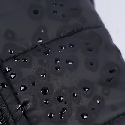 Sa685aa0cdd944fe5aa06beaec71f0d925