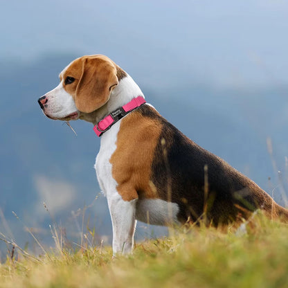 Sae8f150b523344d58ae230941eb8d267K