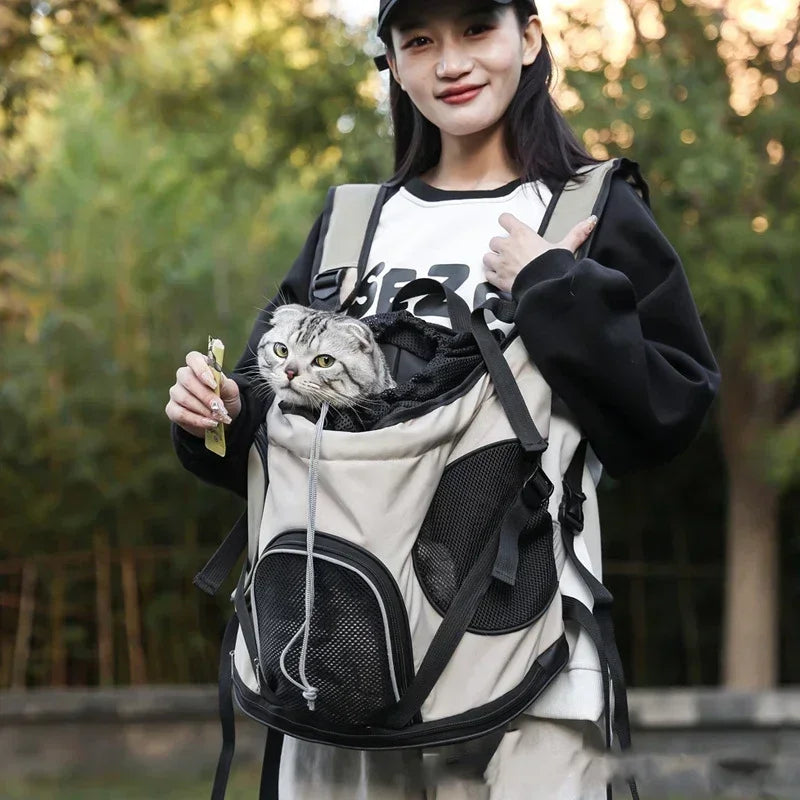 Sb679a7bd57af486686c4df0f1c8f55e1z