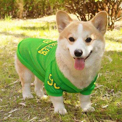 Sb6b026255d254378a8f1fd9e31af2b40x