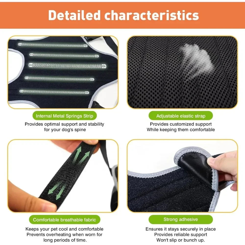 Sc25a05f25f5c49fe852417cbafd08c7cP