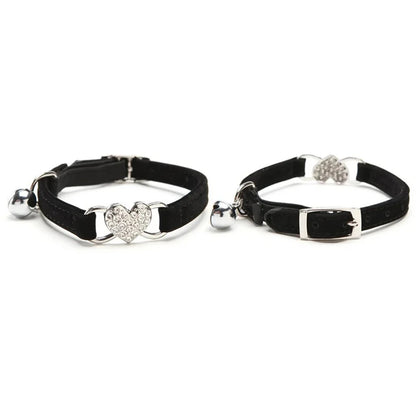 Sc359e04d4c674c71a911794f20e1621f3