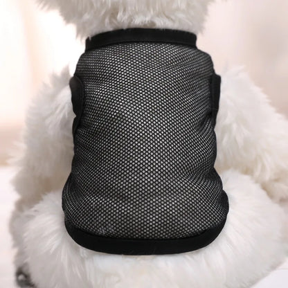 Sc4570bf731754d7c92c44ef84fe308e0L